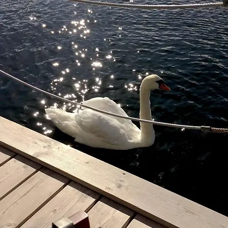 The Goose - Stern Hausboot